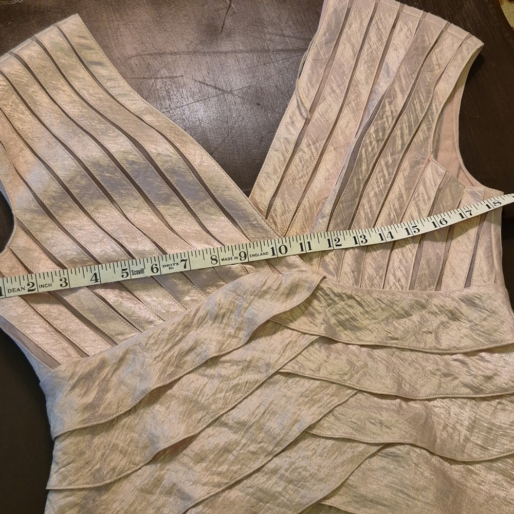 Adrianna Papell Sz 12. Blush Pink With A Shimmer To It.(1659) - Picture 8 of 11